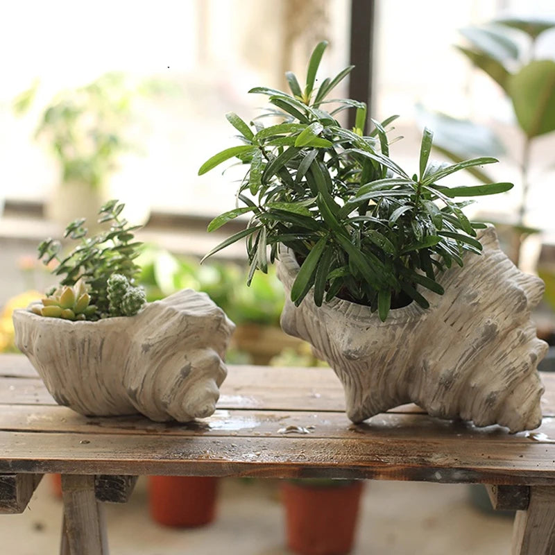 Vaso de Flores em Concha Cerâmica para Casa e Mesa - Verde jardim