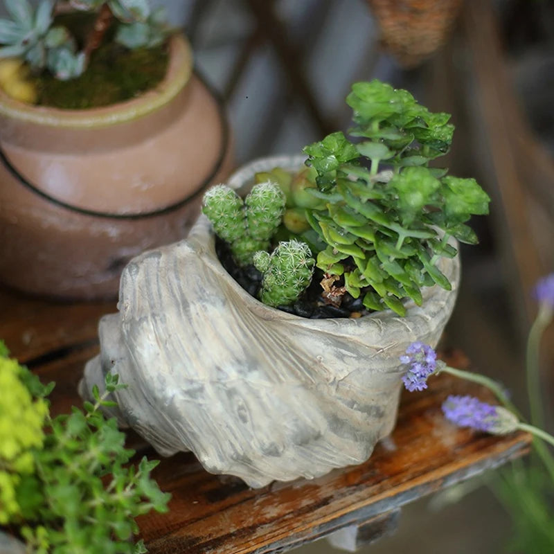 Vaso de Flores em Concha Cerâmica para Casa e Mesa - Verde jardim