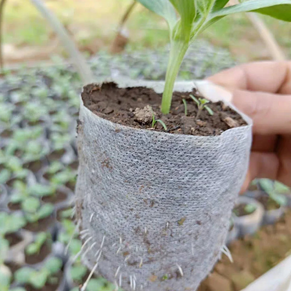 Verde Jardim - Saco para Mudas Biodegradável em Tecido Não Tecido