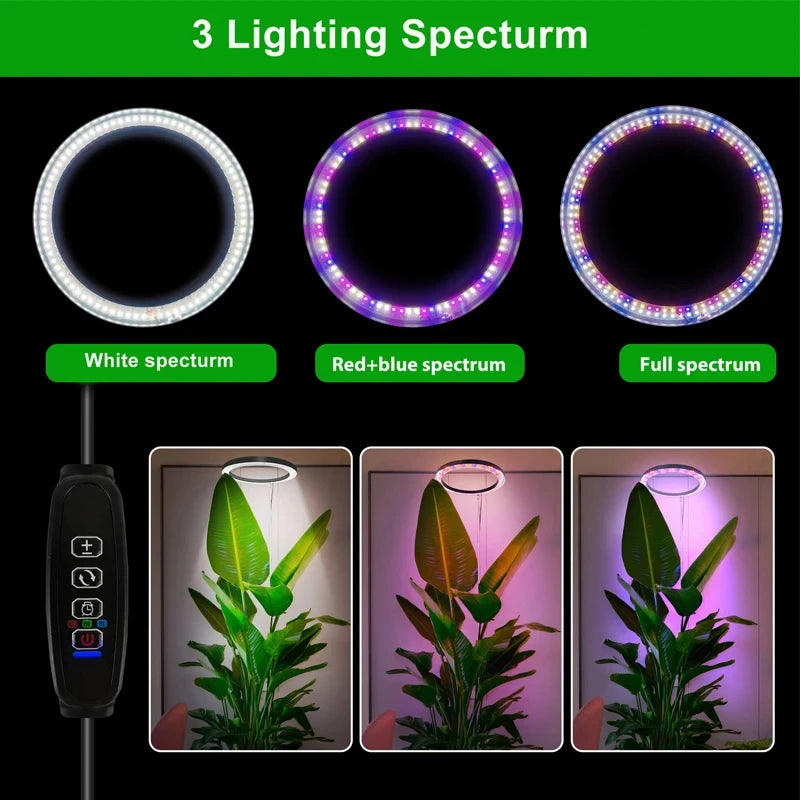 Luz de Crescimento LED Ajustável 165cm - Full Spectrum para Plantas Internas - Verde Jardim