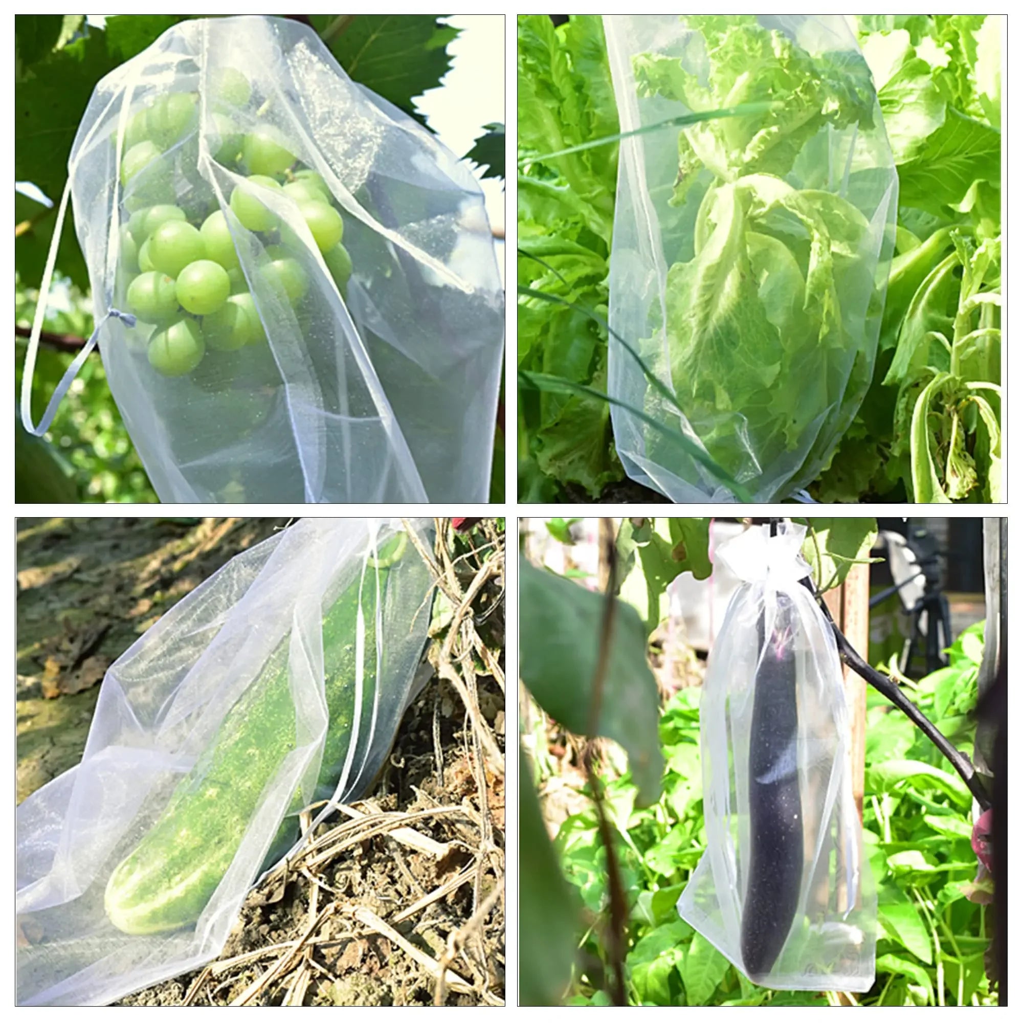 Morango Uvas Frutas Crescer Sacos, Netting Mesh, Vegetal, Sacos de proteção ve