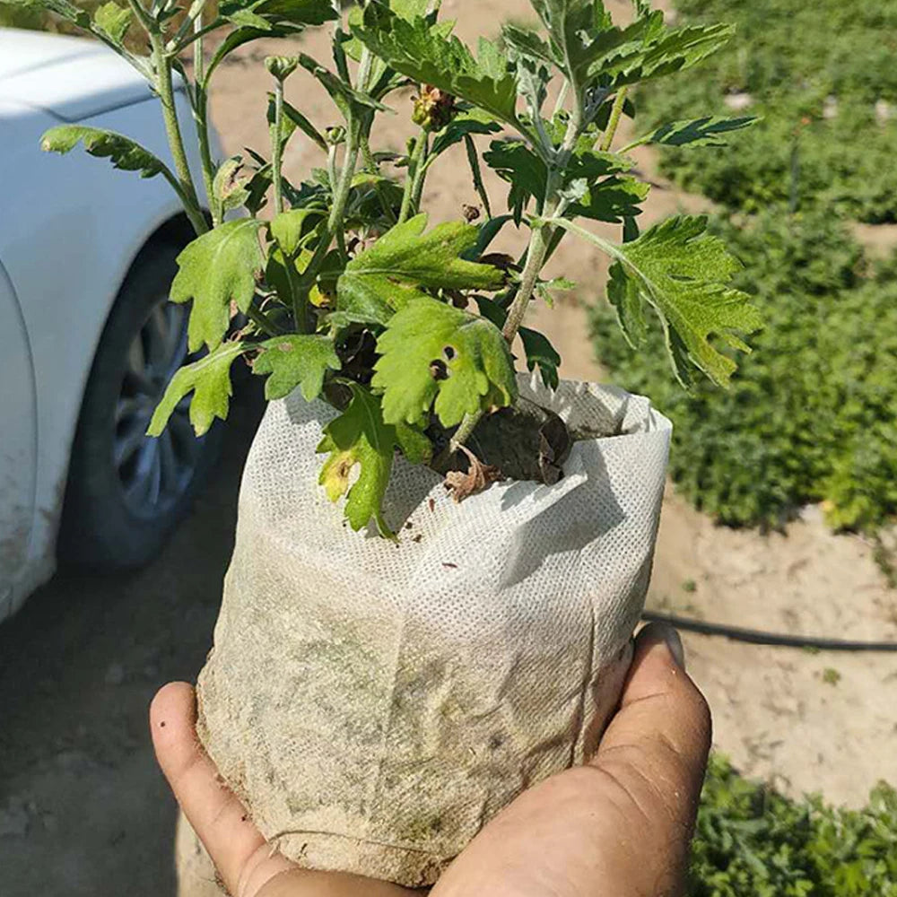 Verde Jardim - Saco para Mudas Biodegradável em Tecido Não Tecido