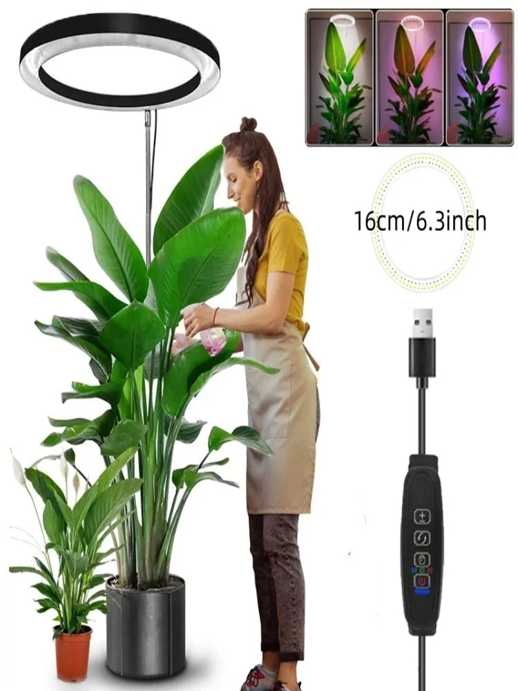 Luz de Crescimento LED Ajustável 165cm - Full Spectrum para Plantas Internas - Verde Jardim