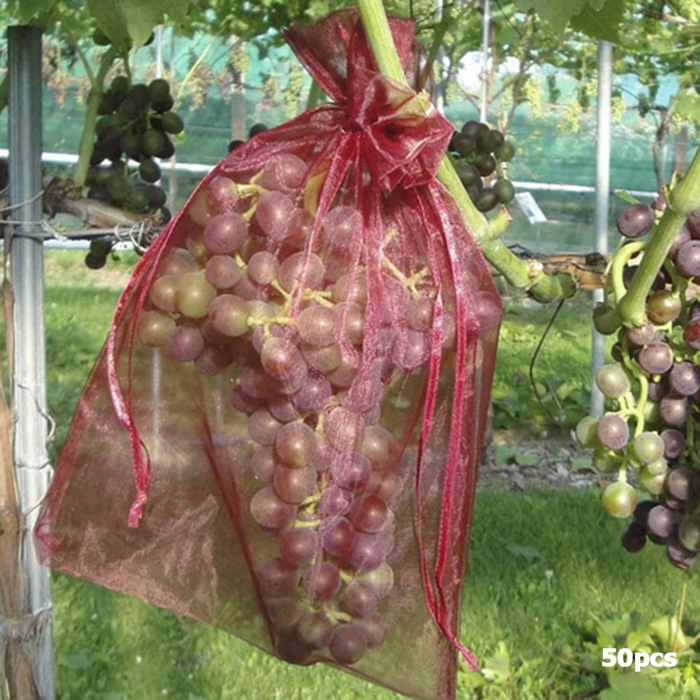 Morango Uvas Frutas Crescer Sacos, Netting Mesh, Vegetal, Sacos de proteção ve