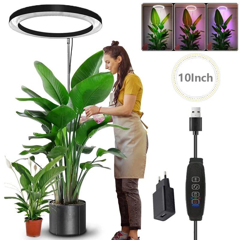 Luz de Crescimento LED Ajustável 165cm - Full Spectrum para Plantas Internas - Verde Jardim