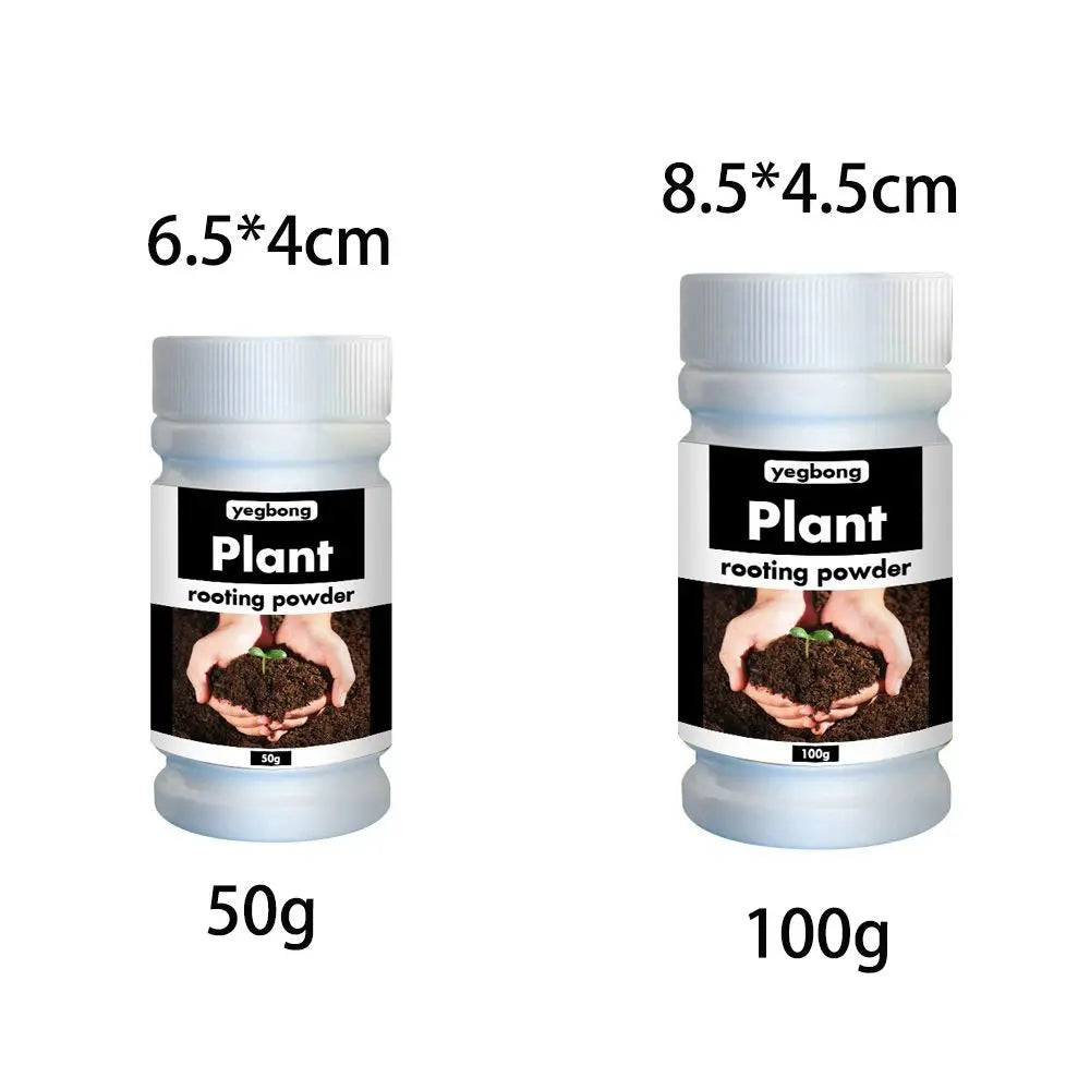 Verde Jardim - Pó de Enraizamento Rápido para Plantas, Crescimento Saudável, Aminoácidos, 50/100g