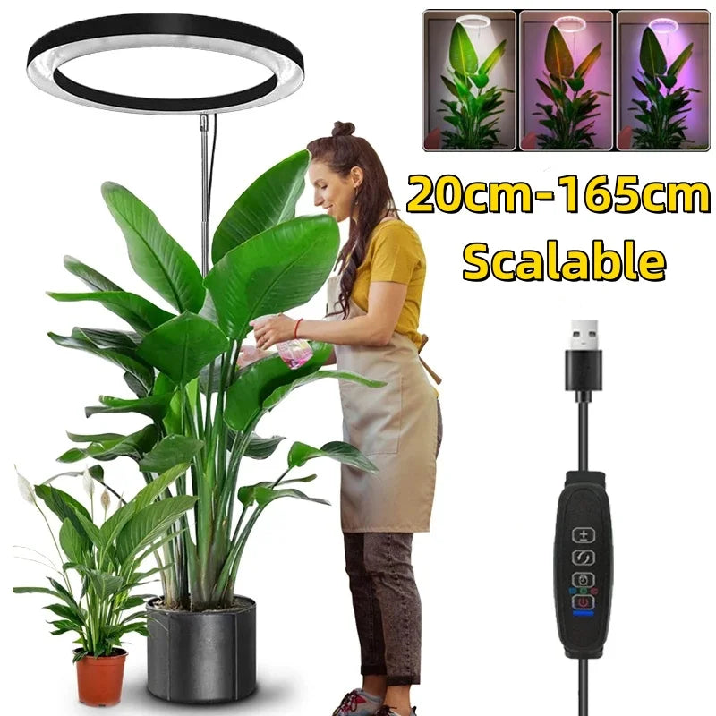 Luz de Crescimento LED Ajustável 165cm - Full Spectrum para Plantas Internas - Verde Jardim