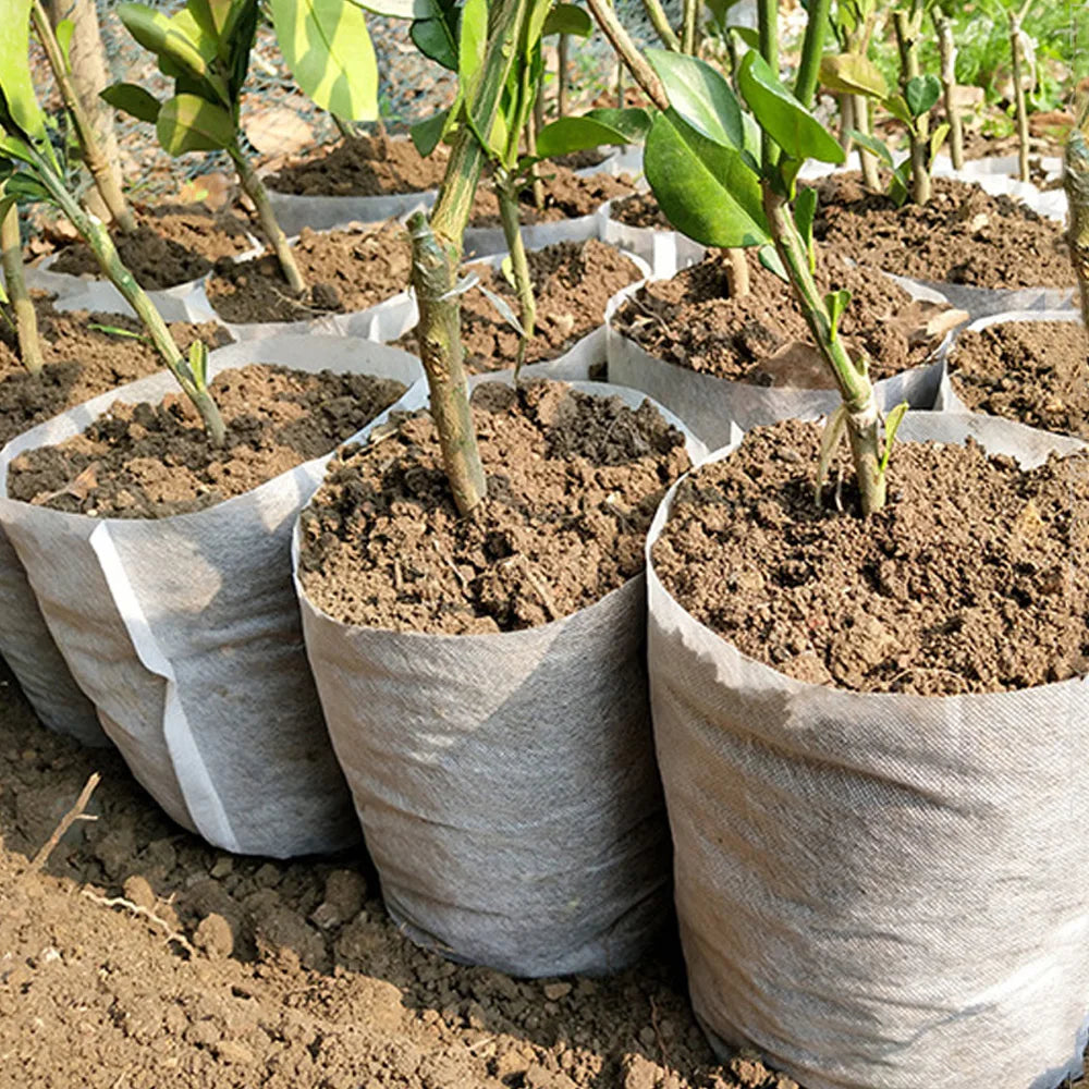 Verde Jardim - Saco para Mudas Biodegradável em Tecido Não Tecido