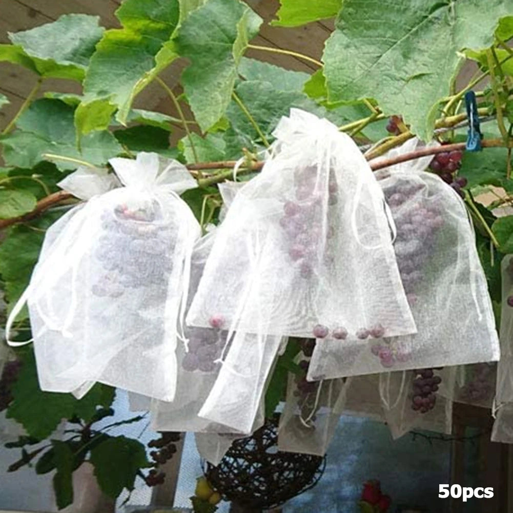 Morango Uvas Frutas Crescer Sacos, Netting Mesh, Vegetal, Sacos de proteção ve