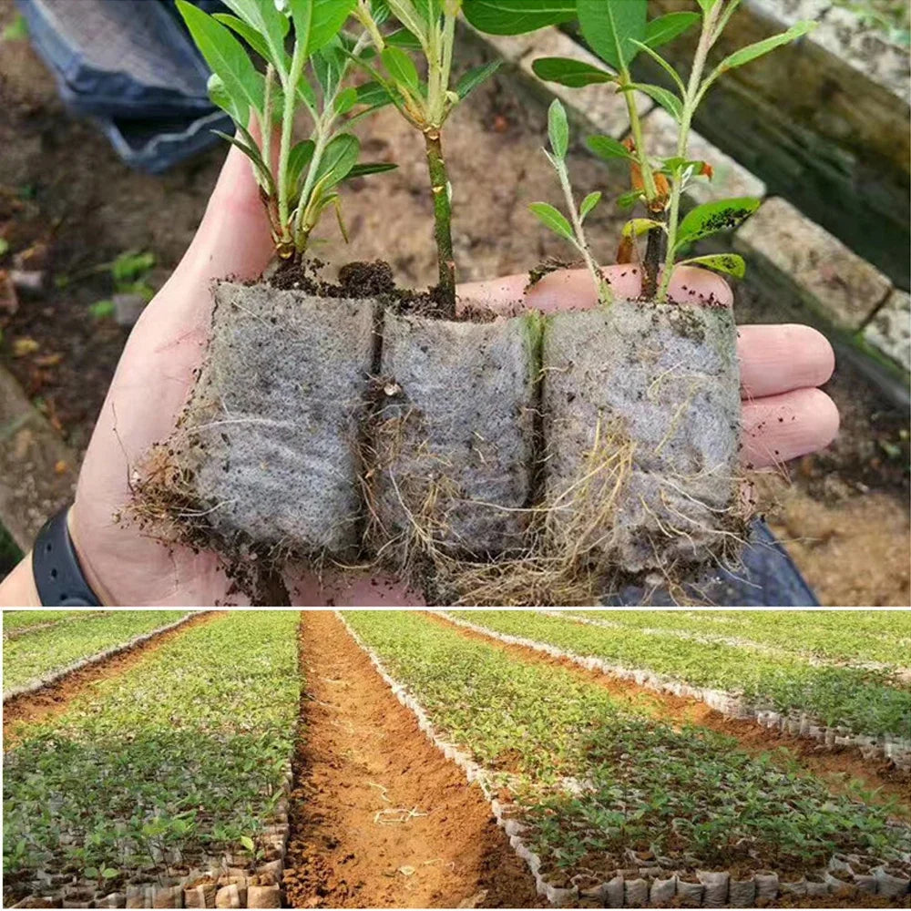 Verde Jardim - Saco para Mudas Biodegradável em Tecido Não Tecido