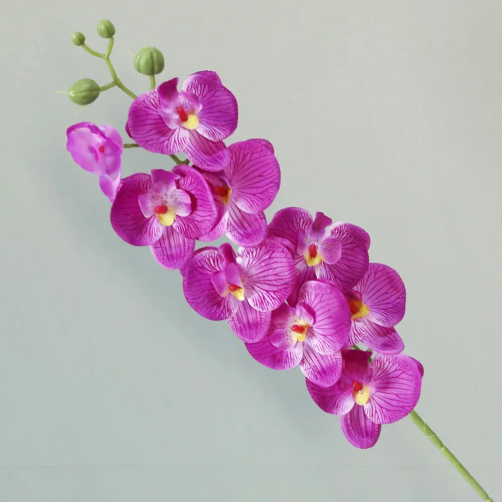 Ramos de Flores Artificiais Phalaenopsis 69cm - Toque Real | Verde Jardim Verde Jardim 