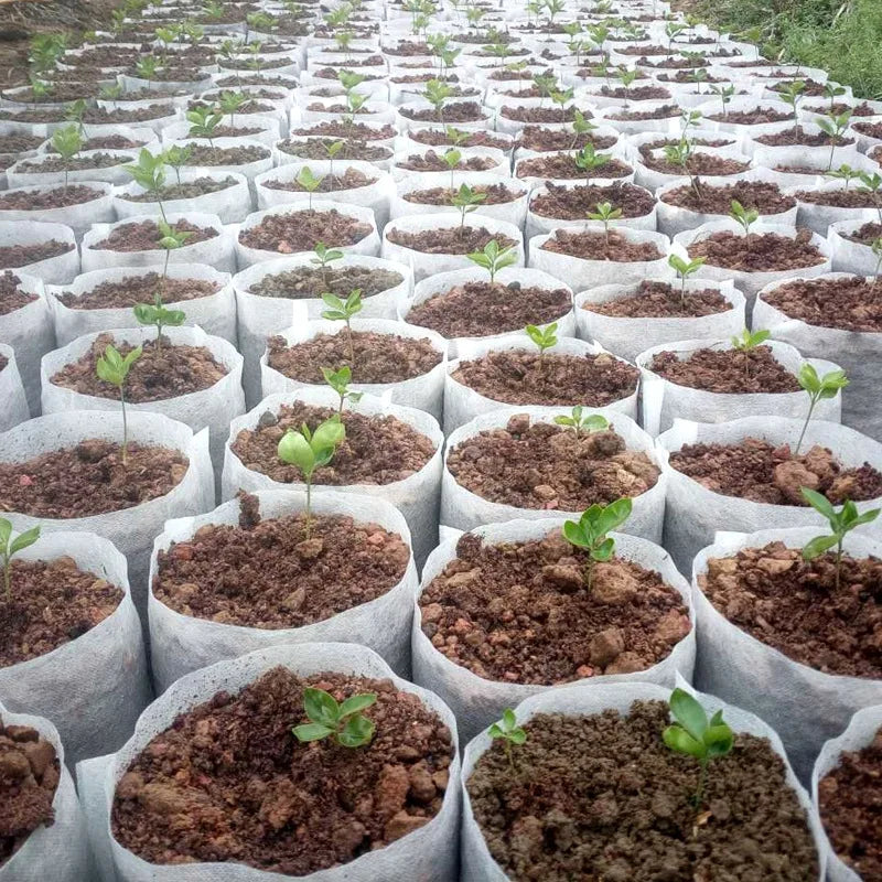 Verde Jardim - Saco para Mudas Biodegradável em Tecido Não Tecido